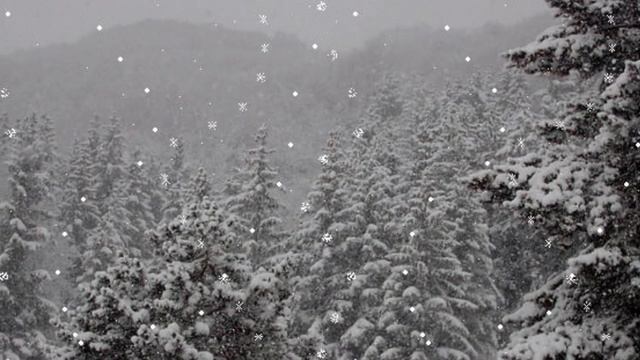 "СВЕЧА ГОРЕЛА."Пастернак.Исп. Ирина Волжанина. смотреть онлайн