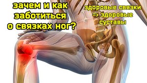 Как спасти и восстановить связки тазобедренных и коленных суставов? Уникальные упражнения для связок