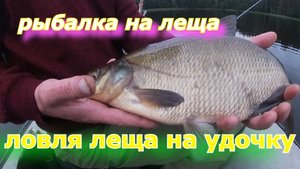 Ловля леща на поплавочную удочку