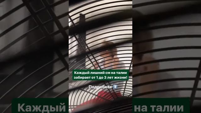 Лишние см забирают 1-3 года нашей жизни