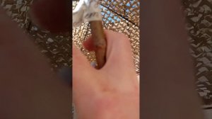 ЭКО ДАЧА питомник Крым отзыв о сажанцах