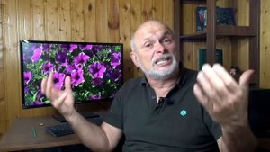 Лучшие цветы мира. Прямой эфир. Петуния Каскадиас Питайа - лучший цветок сезона 2021