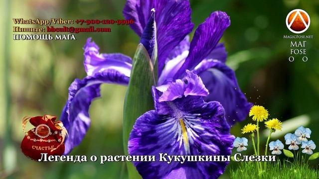 Кукушкины слезки конфеты