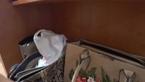 19 06 18 Жесть! Застряли в лифте Собака вызывает лифтера.