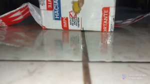 Angry Birds Toons Remastered: Ep4 T2 Hide And Seek