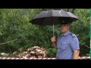 Свалку биологических отходов вновь нашли в ленточном бору местные жители