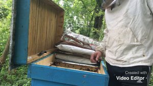 Трутовка не проблема, как подсадить матку.