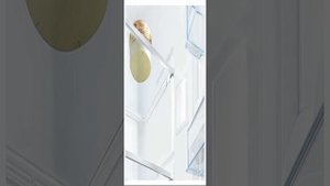 Встраиваемый холодильник Bosch KIS87AF30R Обзор