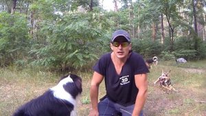 47. Чем поощрять собаку во время дрессировки