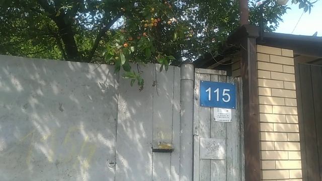 Черешня.