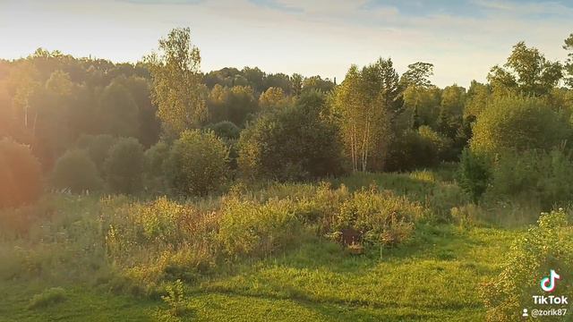 пасека смотреть онлайн