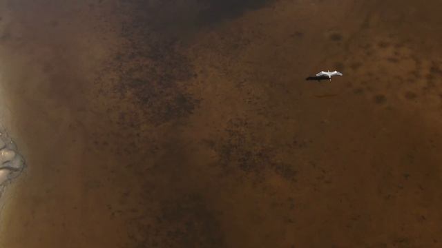 Музыка для исполнения желаний. Медитация на успех смотреть онлайн