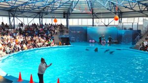 Дельфинарий, Сочи Парк, весна 2023