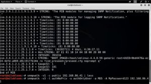 How to  Using Snmpwalk