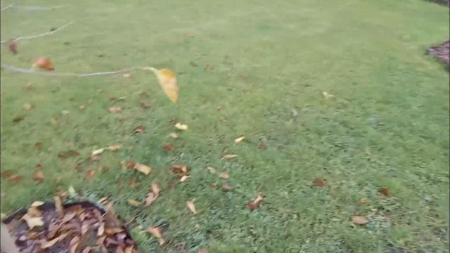 Укрываем беседку на зиму. Мою теплицу. Мой осенний сад. смотреть онлайн