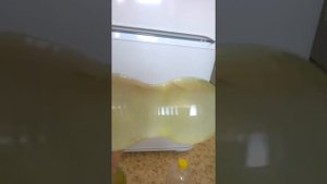 Зелёная вода в бутылках (20190718 13:59 ч.)