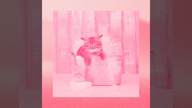 Впечатление (Милые кошки) смотреть онлайн