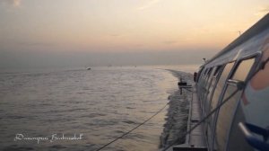 Скоростная линия Петергоф - Санкт-Петербург  на Метеоре -184