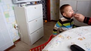 Ekaterina Saibel Пельмени Задом наперёд.