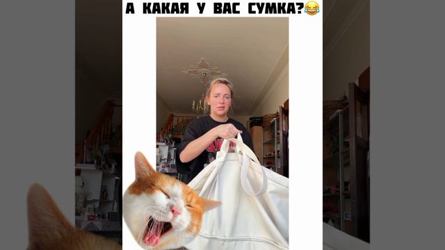 Сумка