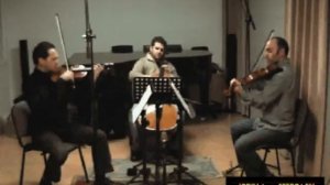 TRIO SONUS. J.S. Bach, Goldberg Variationen XXIX, XXX & Aria final   www.ardilla-studios.com