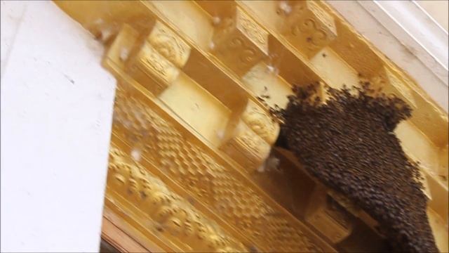 Малый Тибет в штате Карнатака