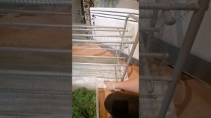 Стабилизация в глицерине. Секреты.