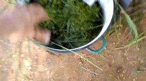 Траворезка своими руками в работе.