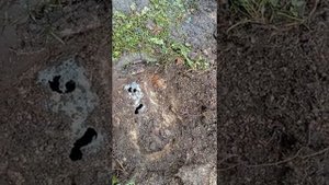 Винтовые сваи с монтажом для фундамента террасы