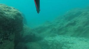 Отдых в Турции / Подводная охота на Эгейском море / Мармарис