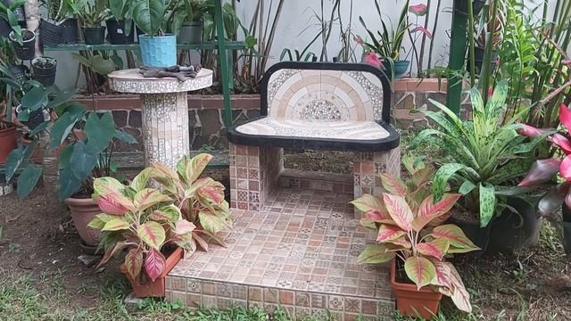 JARDIN TROPICAL FAMILIA NASH PANAMA - RECORRIDO DE JARDIN (Junio 2020) смотреть онлайн