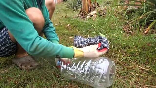 Сколопендра на нашем участке 24.02.2018 смотреть онлайн