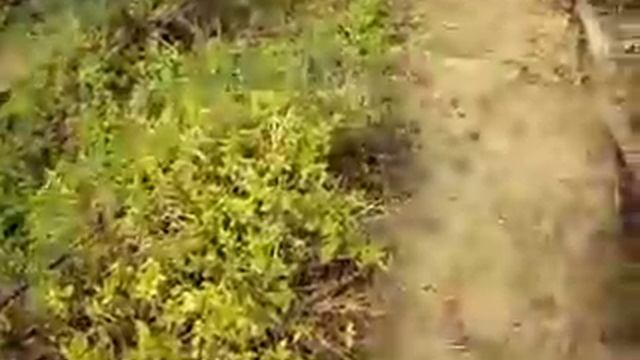 Ультразвуковая Чистка Лица Дома [Узи Аппарат Для Чистки Лица]