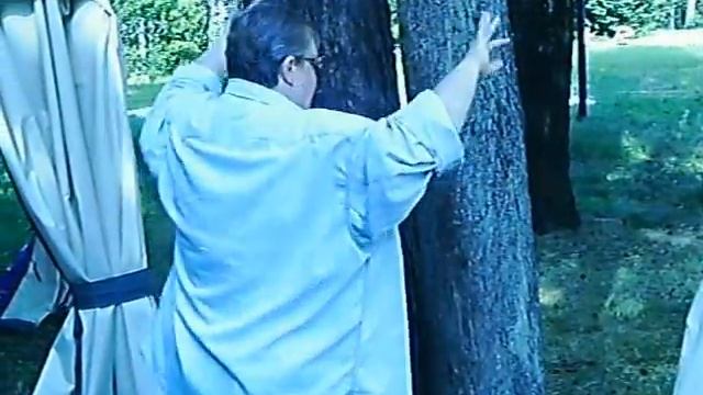 лесн поляны в кафяе смотреть онлайн