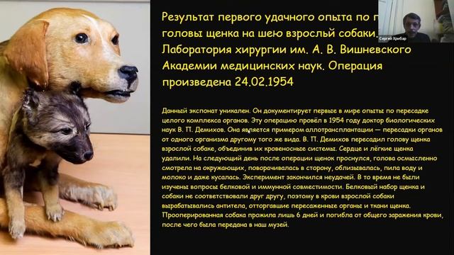 Сергей Хрибар смотреть онлайн