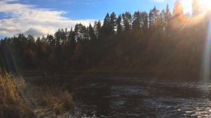 ХАРИУС БЕРЁТ С ПОВЕРХНОСТИ ВОДЫ