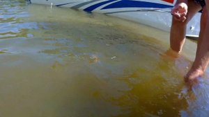 Астрахань Сасыколи база Ахтуба #часть 1