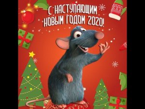 ФОТО CLiP 20 сезон UHD4k