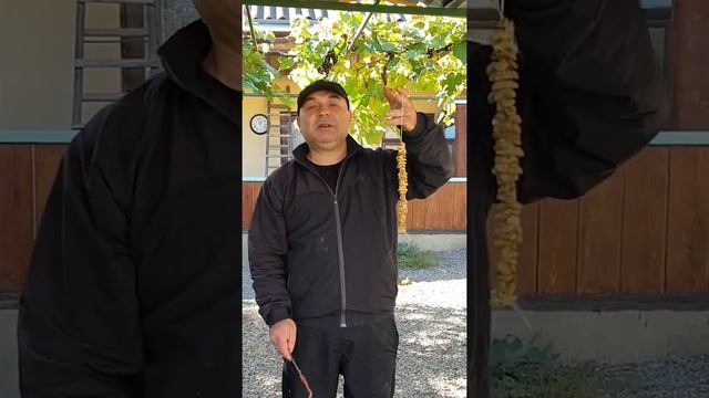 Чурчхела смотреть онлайн