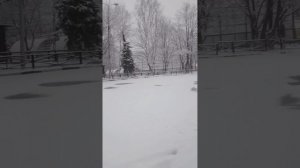 Апрель. В  Москве выпал снег.