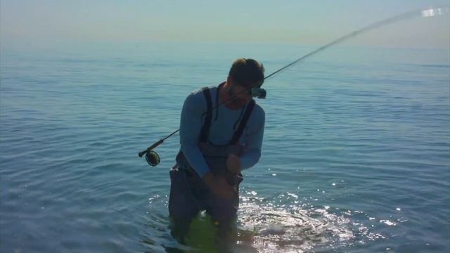 Fly Fishing Cape Cod's Wilderness | S1 E2 смотреть онлайн