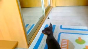 Паола Патти