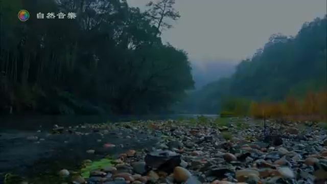?在美麗河畔的雷雨聲和水流聲中放鬆入睡！自然&治愈，放鬆解壓，打坐冥想，親近大自然，緩解焦慮，幫助睡眠！下雨的聲音，白噪音氛圍環境音，ptsd,bgm смотреть онлайн
