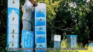 Многокорпусный улей