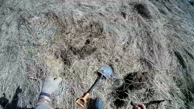 Поиск монет и старины с металлоискателем.