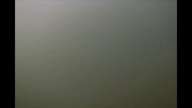 Рыбалка в Пензенской области...Подводные съёмки Карась и другие рыбы смотреть онлайн