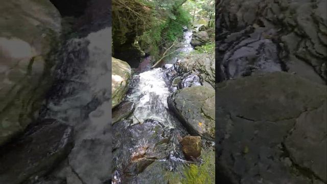 Rickett's Glen Falls Trail, Benton, PA 9/10/22