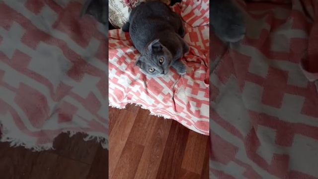 25 марта 2023 г. смотреть онлайн