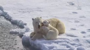 Путешествие на Землю Франца Иосифа