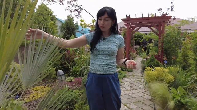 Большущий обзор цветущих экзотов и не только в южном саду! смотреть онлайн